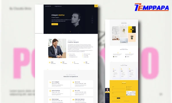 Yolo Creative Portfolio