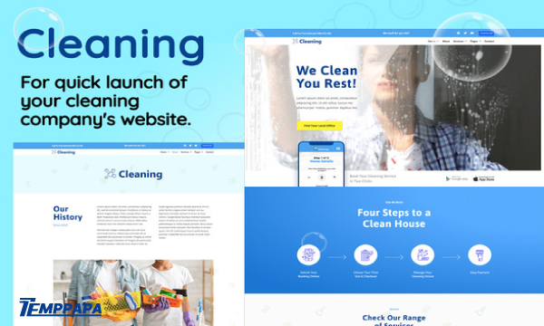 Cleaning Small Business