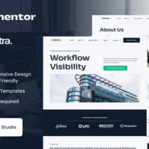 Detectra Business Process Optimization