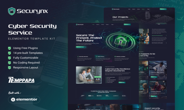 Securynx Cyber Security Service