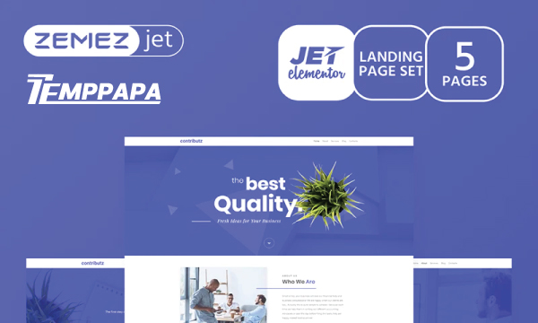 Wizarro Business Landing Page Template Kit