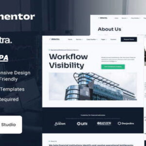 Detectra Business Consulting Template Kit