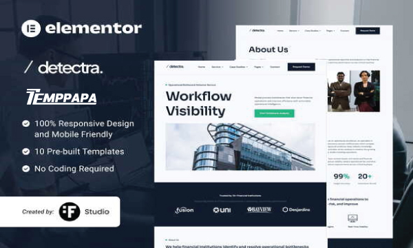 Detectra Business Consulting Template Kit