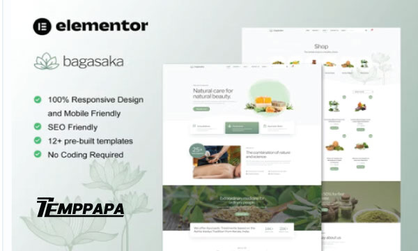 Bagasaka Elementor Template Kit