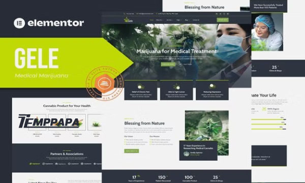Gele Elementor Template Kit