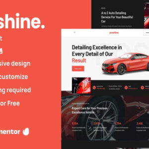 Proshine Elementor Template Kit